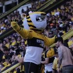 botafogo-sp-x-criciuma:-onde-assistir,-horario-e-detalhes-sobre-a-partida