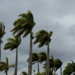 el-nino-altera-o-tempo-e-traz-alerta-de-ventania-com-rajadas-de-ate-65-km/h-a-grande-florianopolis,-litorais-e-vales-de-sc