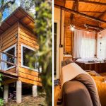 janeloes-para-a-floresta-e-hidro:-refugio-escondido-em-sc-da-sensacao-de-dormir-em-uma-casa-na-arvore;-veja-fotos