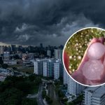 segunda-feira-(31)-sera-de-tempo-severo-no-sul,-com-alerta-laranja-para-chance-de-granizo,-acumulados-acima-de-150-mm-e-temperaturas-de-13c-a-35c