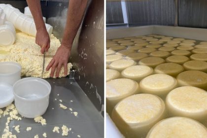 ha-30-anos-no-setor,-familia-inova-e-transforma-producao-de-queijo-artesanal-em-experiencia-turistica-em-sc
