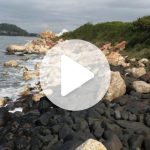 conheca-a-praia-de-sc-com-costao-desenhado-em-preto-e-branco-com-rochas-raras-de-2,8-bilhoes-de-anos